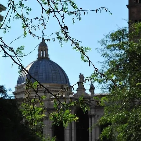 Deluxe Vatican بيت ضيافة روما